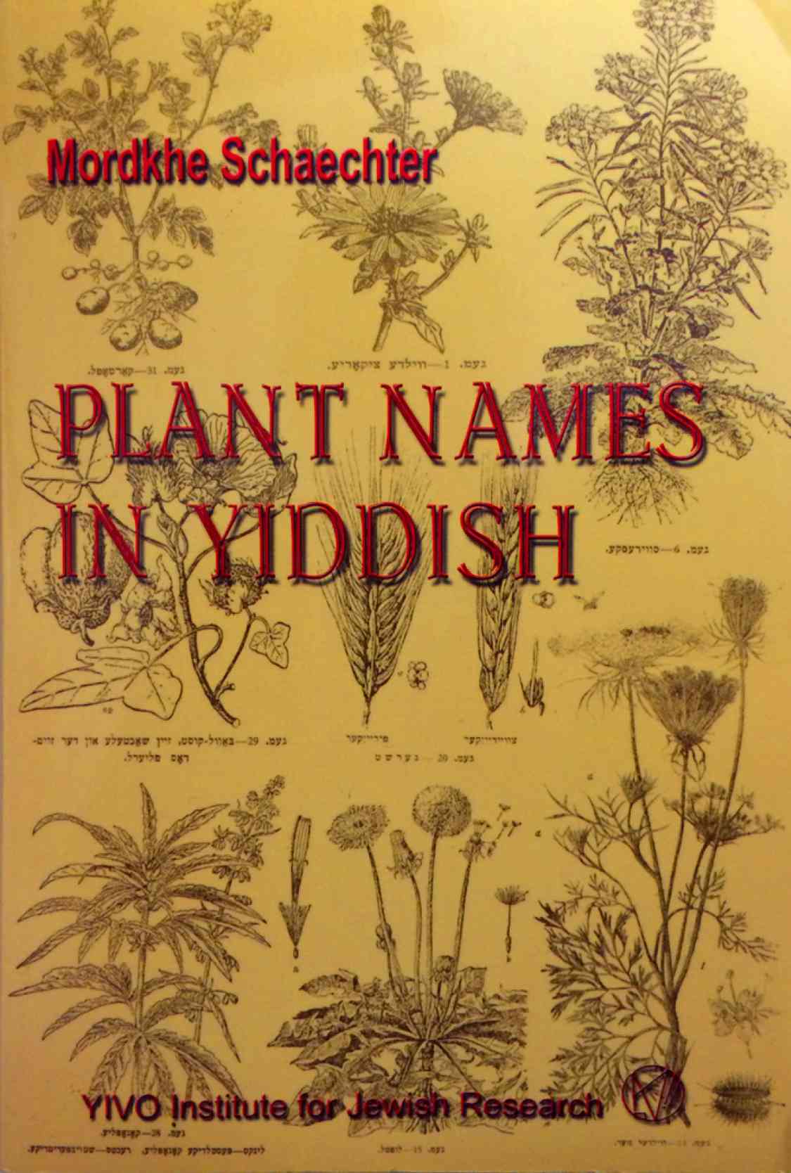Plant Names in Yiddish, By Dr. Mordkhe Schaechter